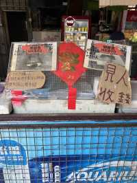 大埔5小時任食燒烤場
