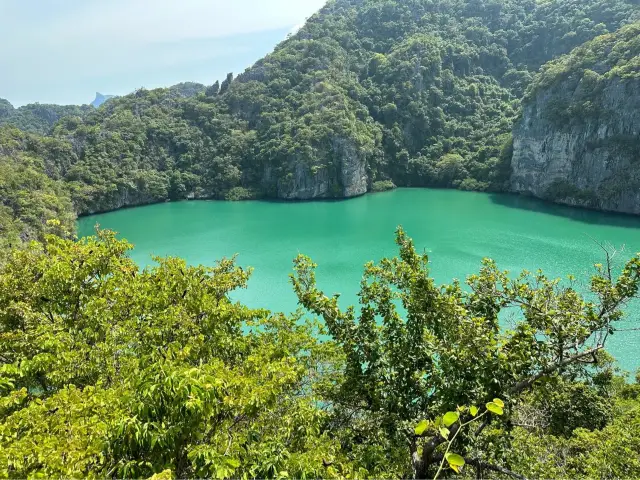 Prettiest beach 🏝️ in 🇹🇭 Koh Samui