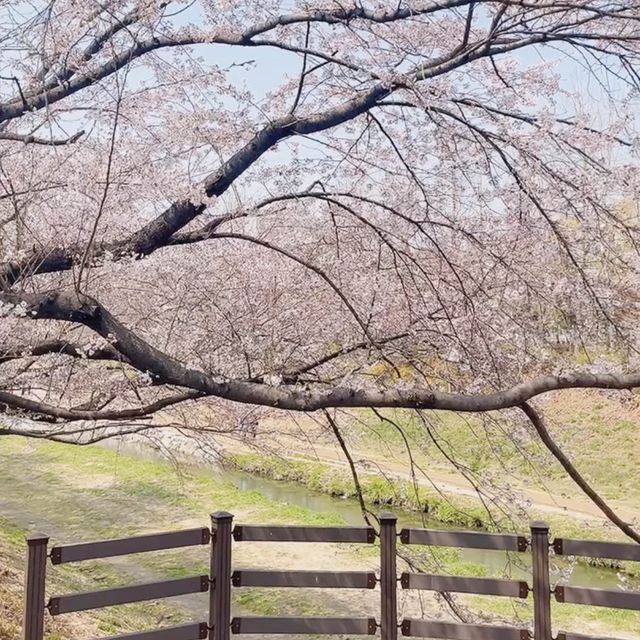 이제는 인천 평리단길보다는 청리단길! MZ들의 핫플😎