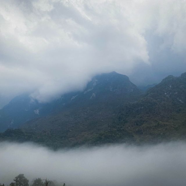 ดอยหลวงเชียงดาวในวันที่ฝนตก…ช่วงฤดูหนาว