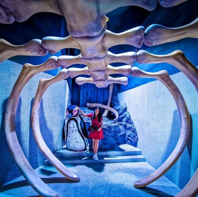 Aquaria Phuket