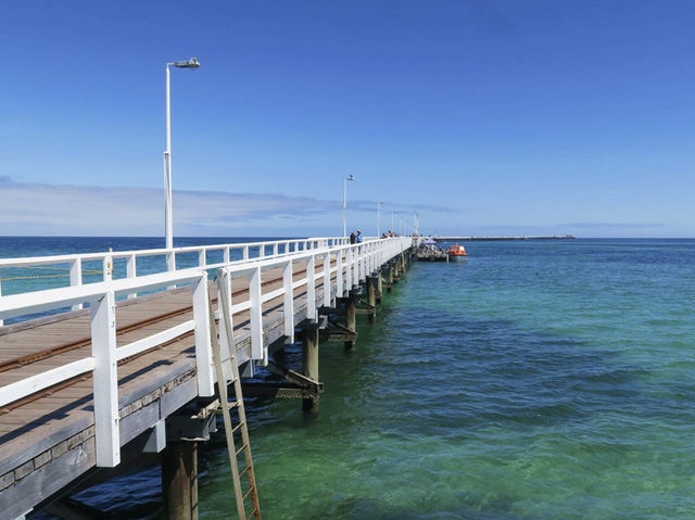 澳洲伯斯 南部☀️巴瑟爾頓長堤（Busselton Jetty）