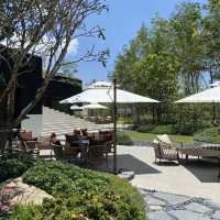 Tree O’ Clock Cafe & Bistro คาเฟ่สวยที่บางโจ