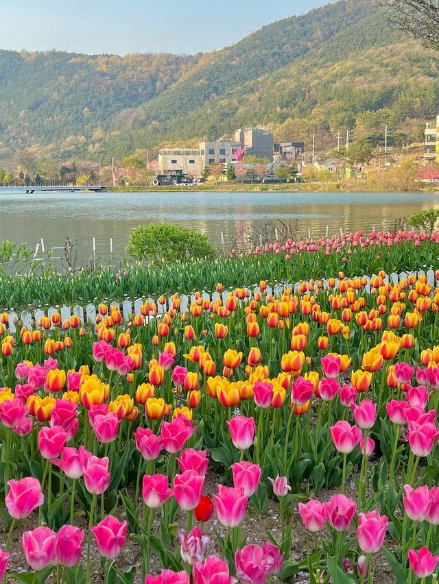 당일치기 가능한 대구 달성군 여행코스 추천❤