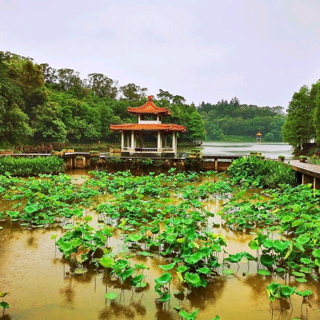 仙湖植物公園