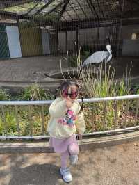 東京親子遊 - 恩賜上野動物園