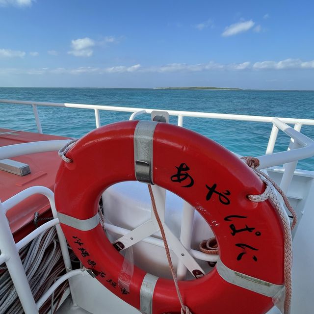 美しき小浜港