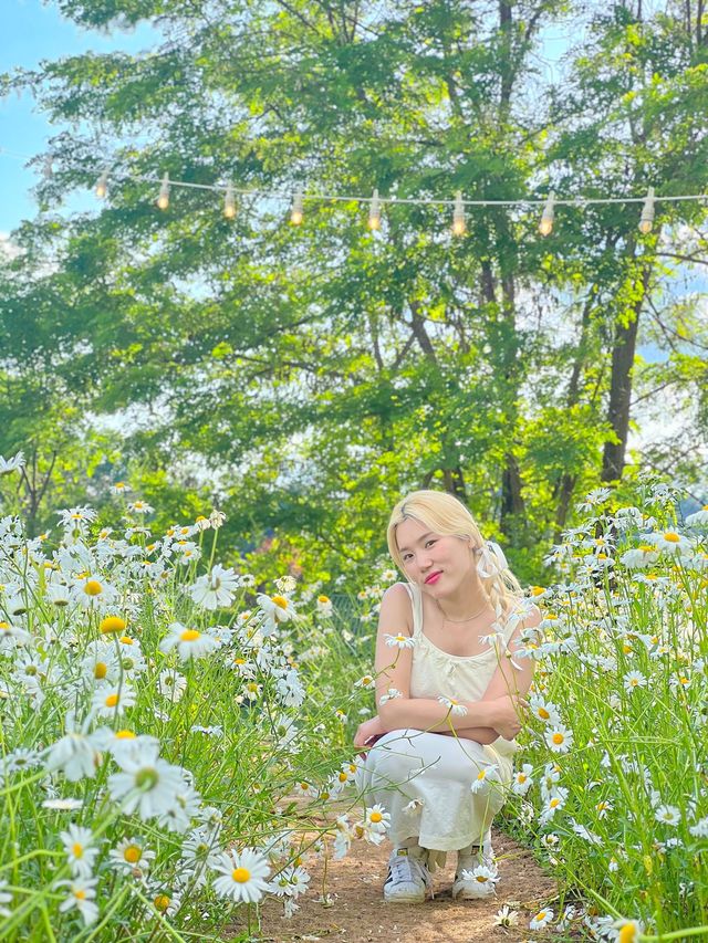 강원도 원주 사진정원🌼