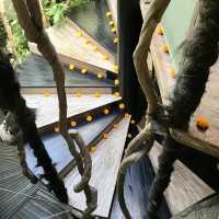 Clear Cafe Ubud Bali