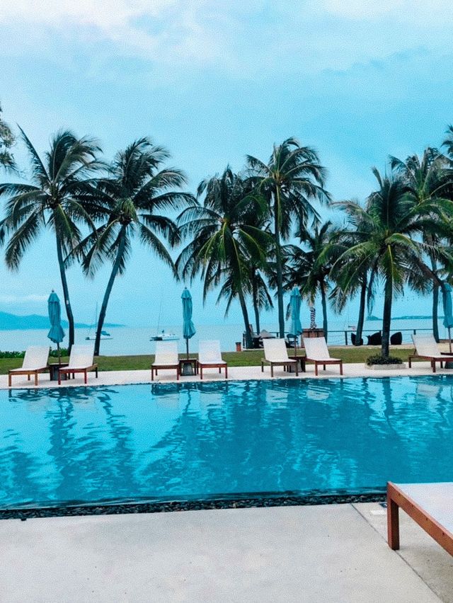 • CELES SAMUI🏝️ 🗺️