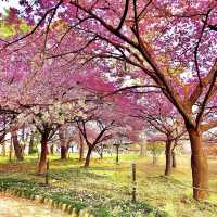 萬葉公園