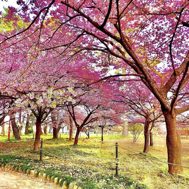 萬葉公園