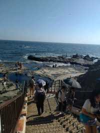 【神奈川】江ノ島岩屋周辺の絶景スポット