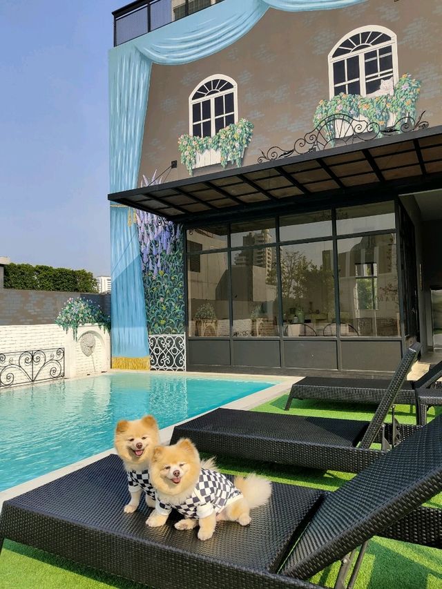 Hotel Pet- friendly 🐶 in Bangkok 