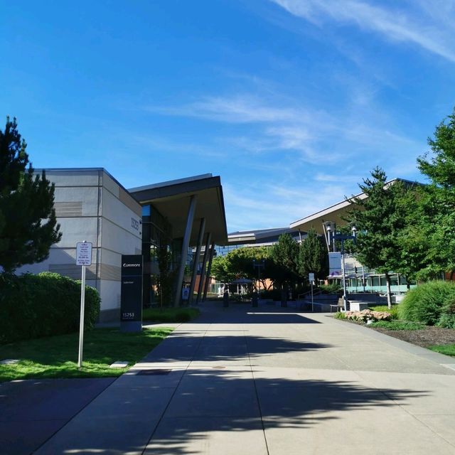 The Microsoft HQ