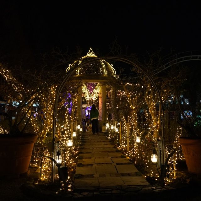 夢幻光之遊園地 - 大阪枚方公園（冬季限定）
