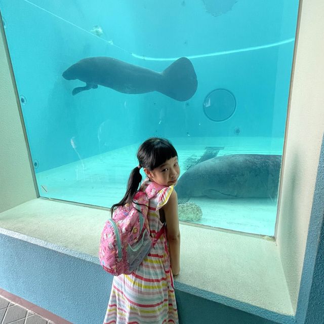 如果沒來過美麗海水族館就等於沒來過沖繩