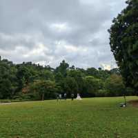 綠色天堂中的浪漫邂逅！🌿💍 新加坡植物園📸💑