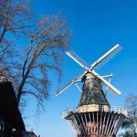 荷蘭🇳🇱盧瑟Lisse•風車景觀區🎡🛶Keukenhof Garden庫肯霍夫花園 