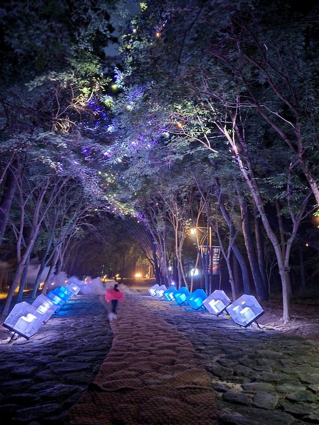 부소산성에서 펼쳐지는 부여 문화유산 미디어아트💛