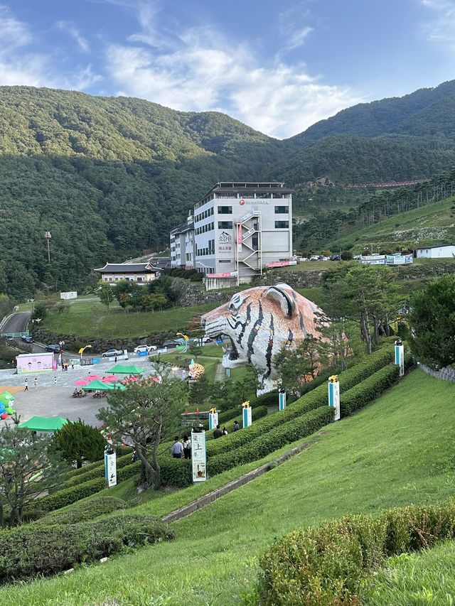 가족과 가면 너무 좋을곳 💜 산청 동의보감촌 