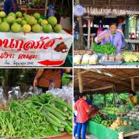 ตลาดซาวไฮ่ ตลาดวิถีชุมชนสุดชิค อ.บ้านไร่ จ.อุทัยธานี
