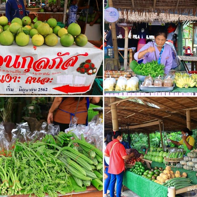 ตลาดซาวไฮ่ ตลาดวิถีชุมชนสุดชิค อ.บ้านไร่ จ.อุทัยธานี