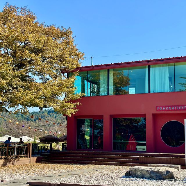 전라도 단풍명소 감성 브런치카페