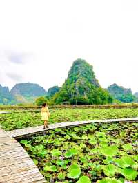 Visit The Highest Peak In Ninh Binh🇻🇳