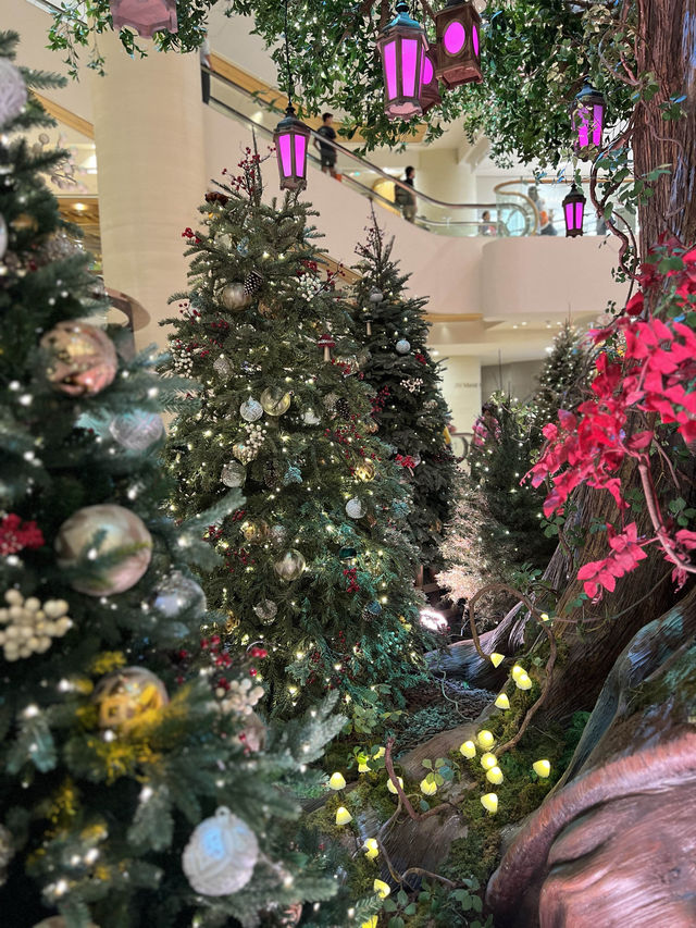 太古廣場😝全港最令聖誕🎄打卡位😳夢幻森林