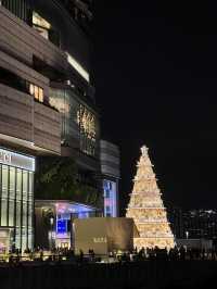 香港🇭🇰聖誕節🎄人氣打卡景5大推介👍🏻走訪港九新界😬