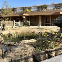 名古屋親子連れスポット‼︎見応え抜群の動植物園⭐︎