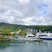 Picton Bliss: Ferry Memories Revived