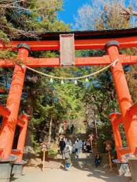 【新倉富士浅間神社】富士山が見える絶景神社で初詣☺️🗻⛩【山梨】