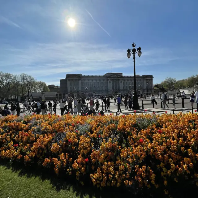 Springtime at Buckingham Palace 