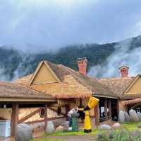 Hobbitoon Village