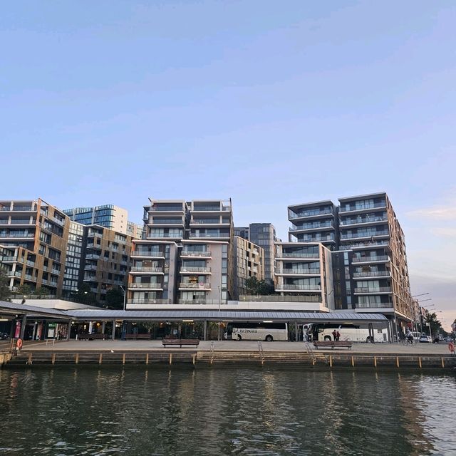悉尼奧林匹克碼頭坐船欣賞日落🌇