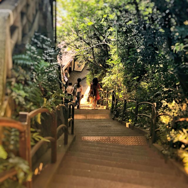 神奈川の観光スポット江ノ島