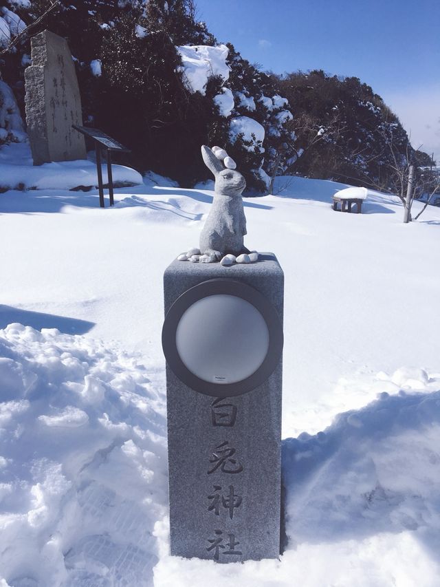 🇯🇵日本鳥取白兔神社🐰👣來到鳥取必去的可愛神社⛩️