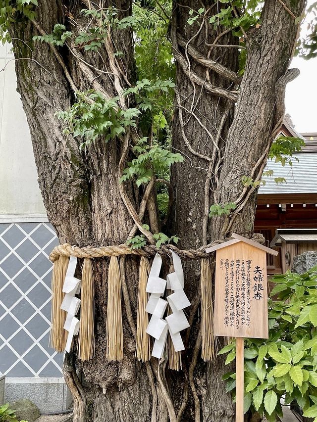 Kushida Shrine