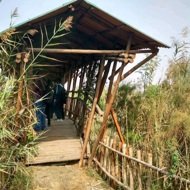 Yamuna Biodiversity 🏞️🌄 Park