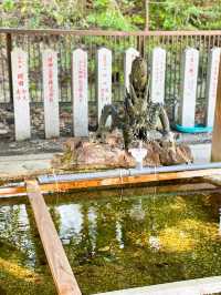【絶景】朱色の楼門と桜が美しい🌸かるたの聖地近江神宮⛩