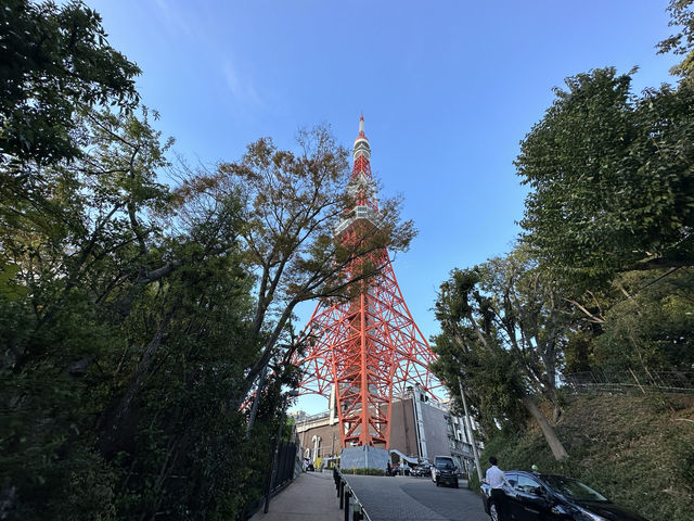 永遠的經典地標-東京鐵塔