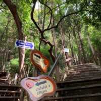 วัดภูทอก