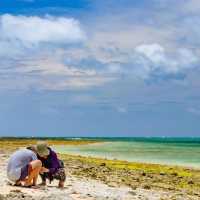 Okinawa Taketomi Island