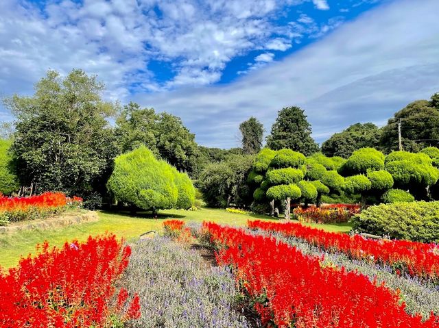 Nokonoshima Island Park