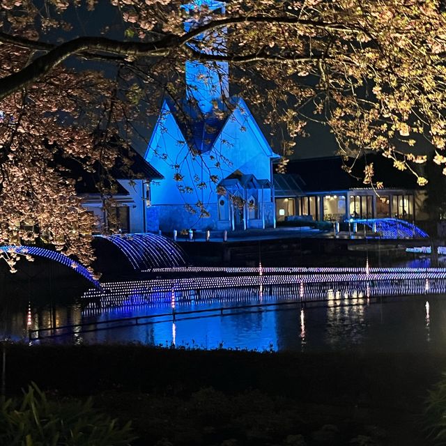 しだれ梅と河津桜の両方を楽しめる🌸