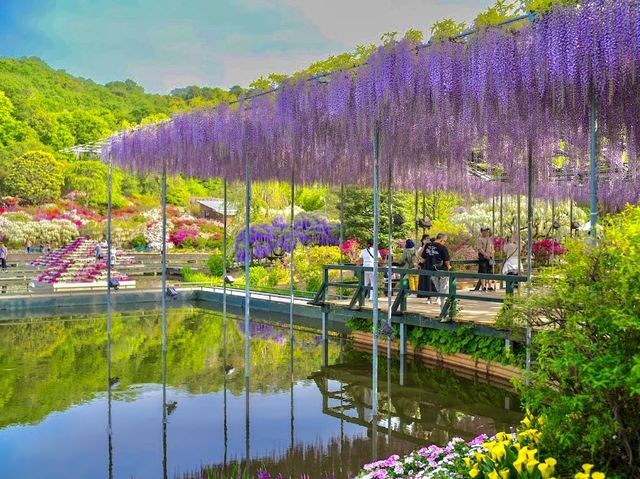 Ashikaga Flower Park 