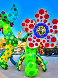 Art Gallery of New South Wales