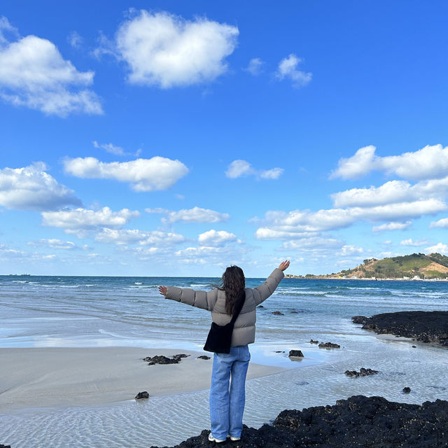 💙제주도 바다가 보이는 협재수우동💙